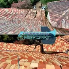 Roof Cleaning in Atlanta, GA 3